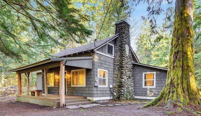Lolo Bear Cabin: Pet-Friendly Mt. Hood Retreat