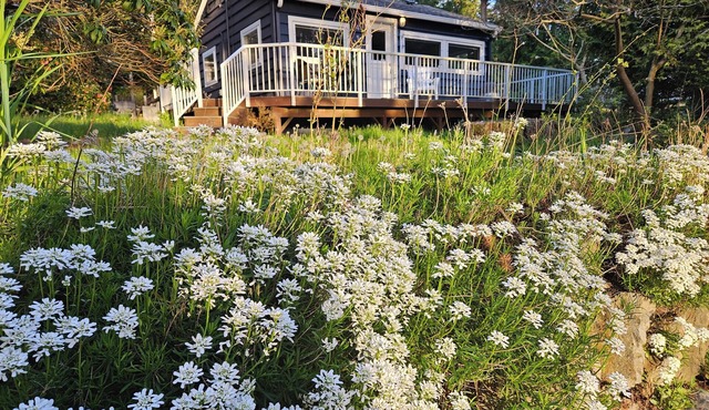 Lovely Bluebird Cottage; 2 bdr, I bath, 1 office w full pullout. Onsite parking!