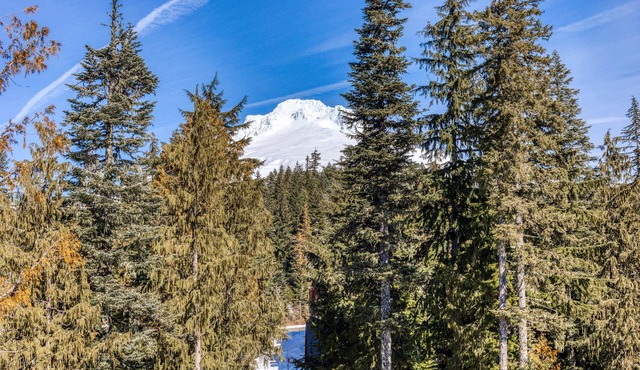 Luxurious Collins Lake condo with fireplace, great views & shared pool & hot tub