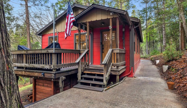 Luxury 2-bedroom remodeled cabin in charming Twain Harte. Relax & rejuvenate!