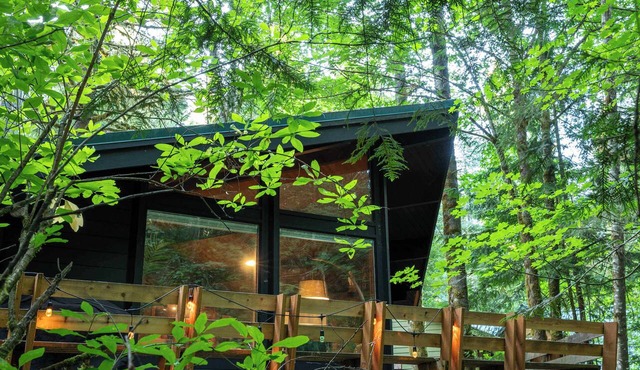 Mid-Century Cabin Hideaway - Hot Tub & Fire Pit