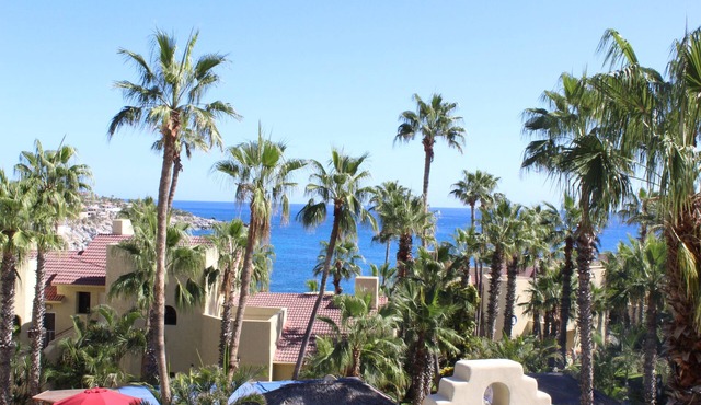 Misiones del Cabo 4206. 1BR Completely Remodeled Ocean View Condo!