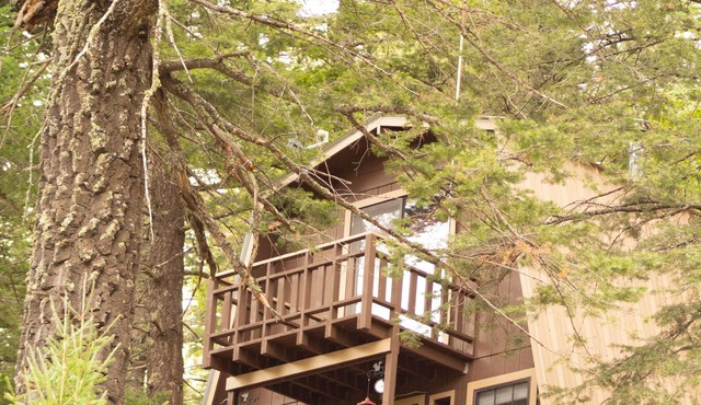 Modified A Frame Cabin.King bed. Only mins. from Ski Cloudcroft and the village.