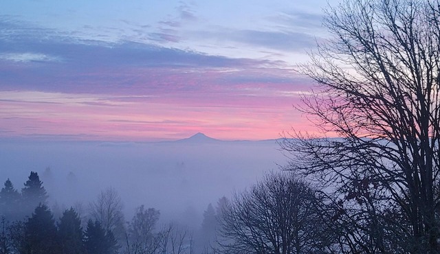 Mountain View Memories in the middle of Willamette and Yamhill Wine Country