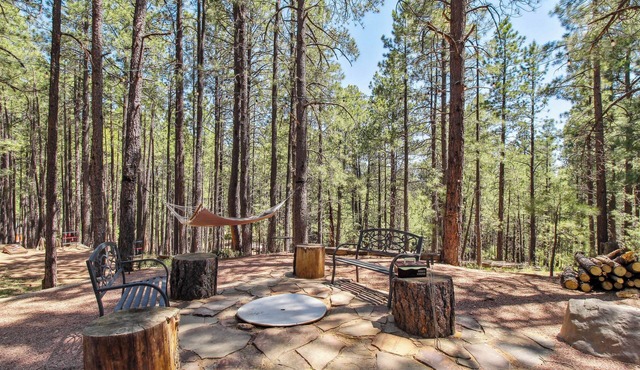 Near Trails: Forest Lake Retreat w/Backyard Oasis