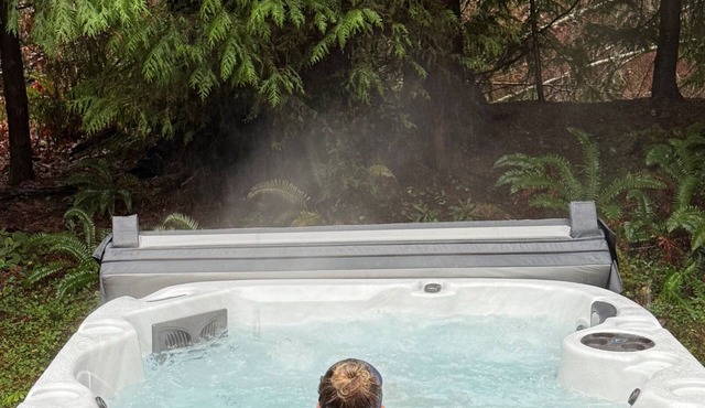 NEW Hot Tub! Mt. Rose Retreat, Sleeps 6, Park Pass