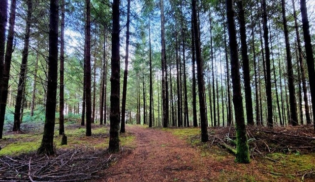 NEW LISTING! Mountain top serenity large acreage by RedAwning
