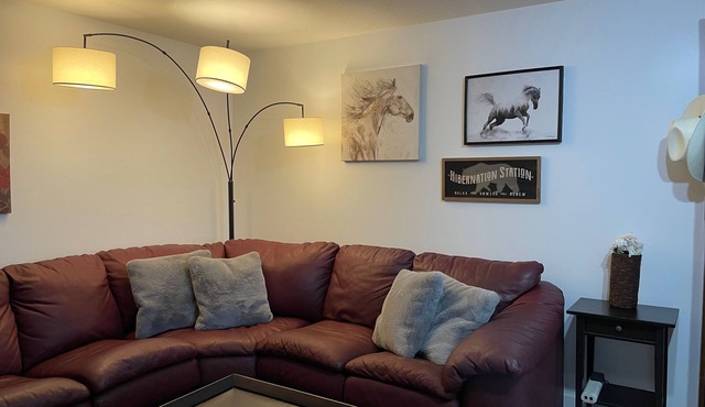 Newly-Finished, Spacious, Country Basement Suite