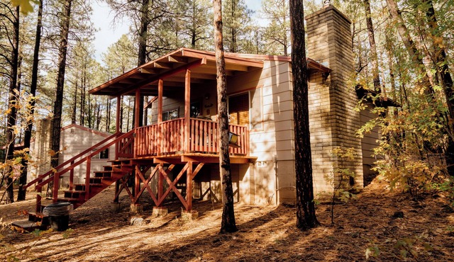 Northwoods (#9) Cabin in the Pines