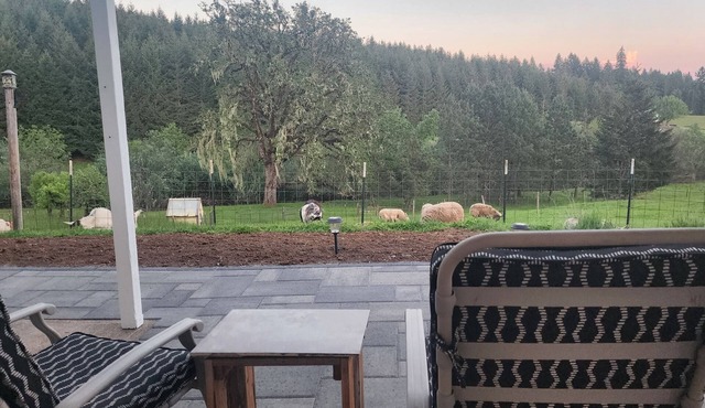 Oak Creek Acres 3-bedroom house on 12 acres just outside of Dallas Oregon