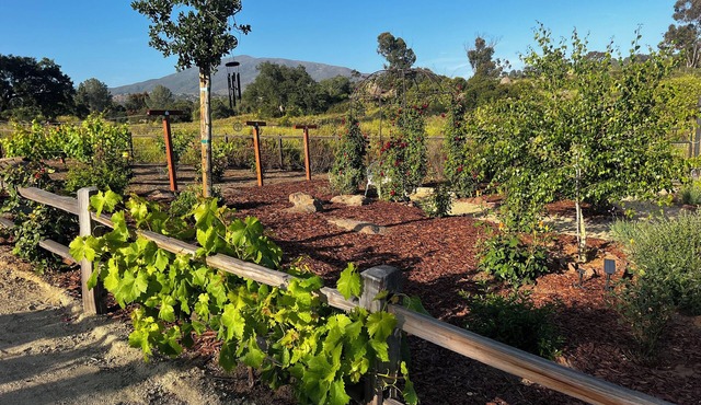 Oak Haven Garden Oasis
