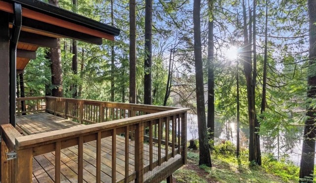 Oar & Evergreen: Forest Views + Private Dock