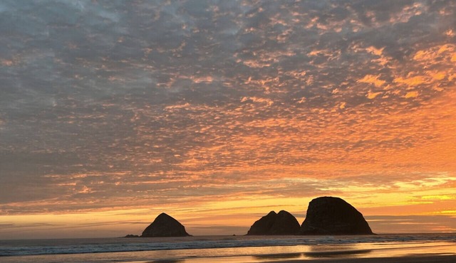 Oceanside w/Views, Dog-Friendly, Gas Stove