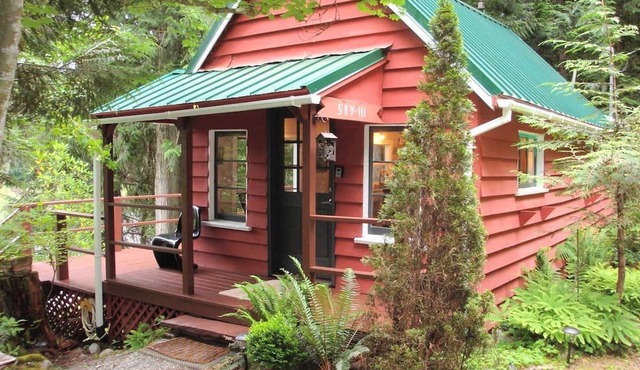 Pet-Friendly Cabin Rental Overlooking a River near Skykomish, Washington