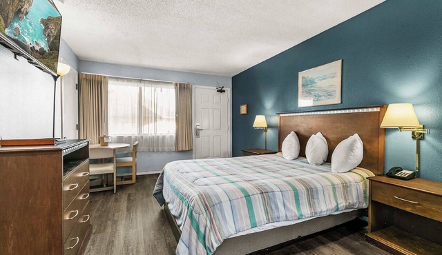 Pet-Friendly Ground Floor Studio with Kitchenette