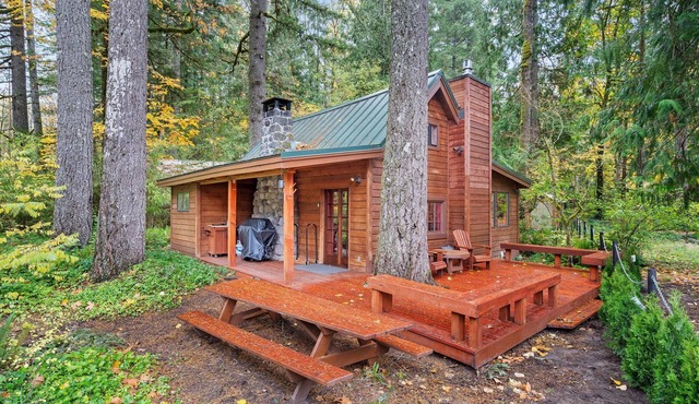 Pinery on the Sandy River