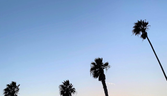 Private cottage in the heart of Ocean Beach