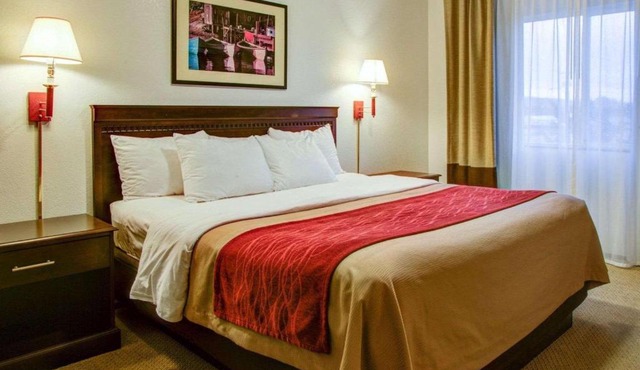Quality Inn Florence