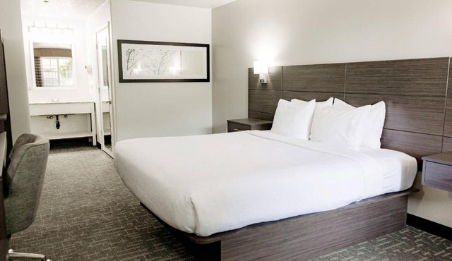 Quality Inn & Suites Lathrop