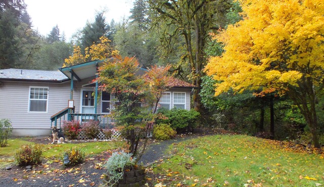 Rainforest Retreat on Private Acre with Stream