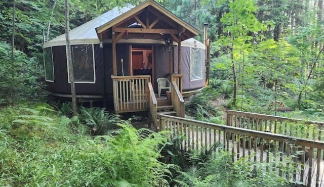 Relaxing FallCreek Vacation Yurt