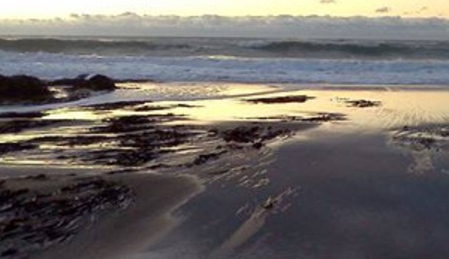 Salmonberry Inn & Beach House