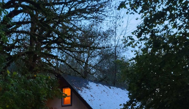 Scenic cabin with a creek view