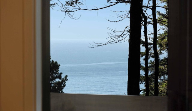 Sea Ranch home with deck & grill near Shell Beach, dogs welcome