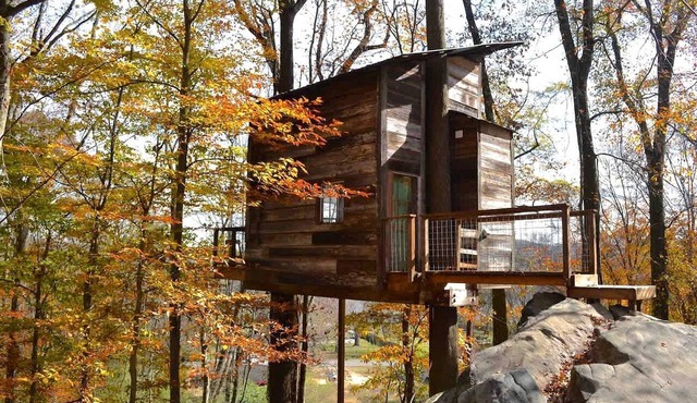 Secluded Tree House in the Forest near the Appalachian Mountains, Georgia