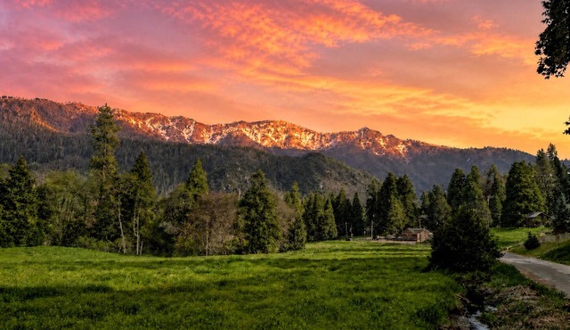Sequoia Time Capsule: Spa, Walk 2 Giant Sequoias, River, Fish, Bike, Saloon