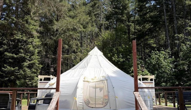 Serene Bell Tent with Forest Retreat Amenities Near Wolf Creek, Oregon
