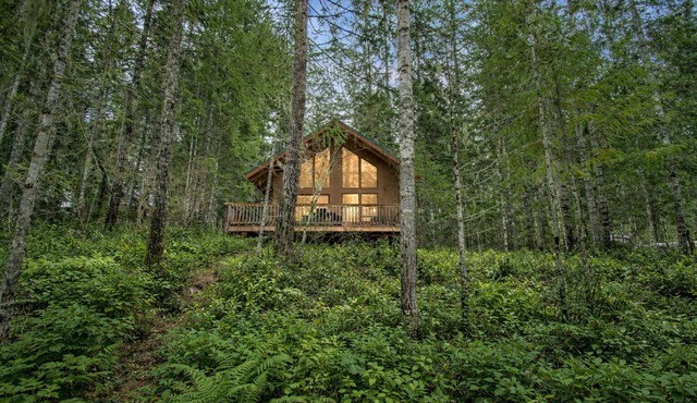 Staircase Rapids Retreat at Lake Cushman, Sleeps 6