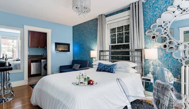 Stylish Historical Central Urban Oasis