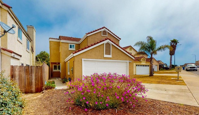 Succulents & Seashells