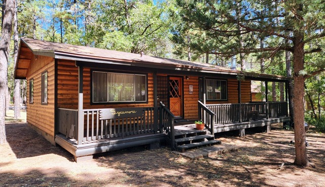 Sycamore Cabin at Lazy Oaks Resort