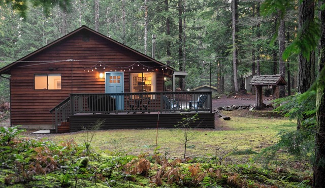 The Harold - Quiet & Cozy, Bunkbed, Firepit, Grill