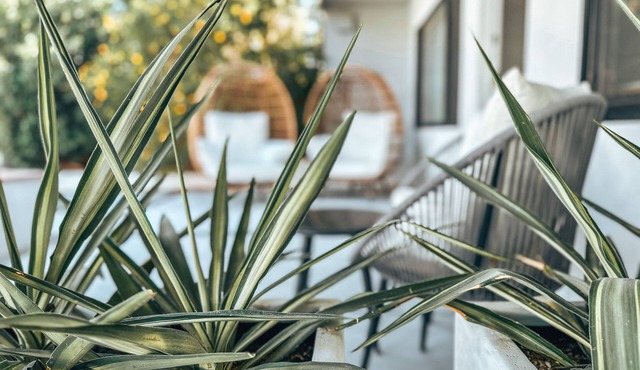 The Yucca Hotel