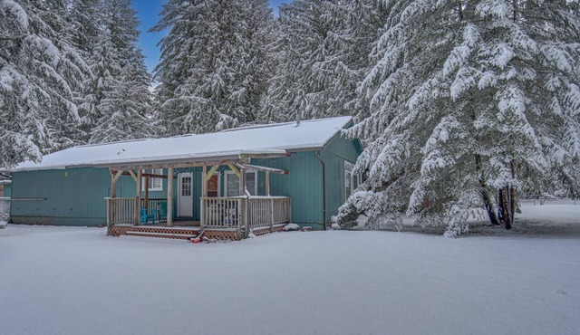 Twin Cedars Getaway, Fenced Yard with Lawn, Deck, BBQ, Dog Friendly