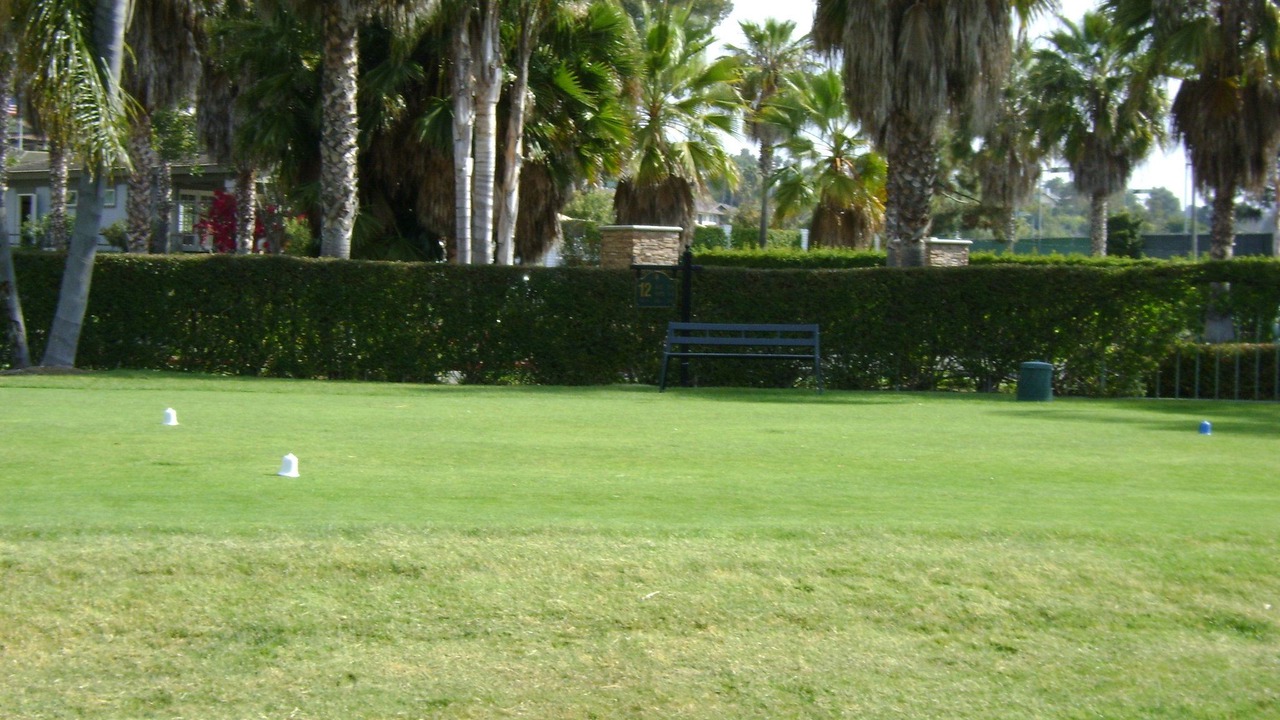 Photo of Others in Mira Costa