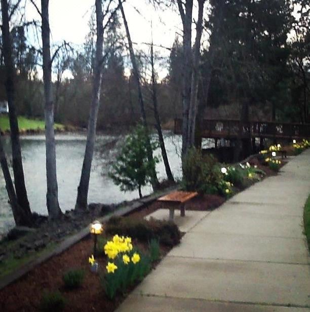 Photo of Buildings in Shady Cove