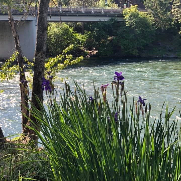 Photo of Outdoor in Shady Cove