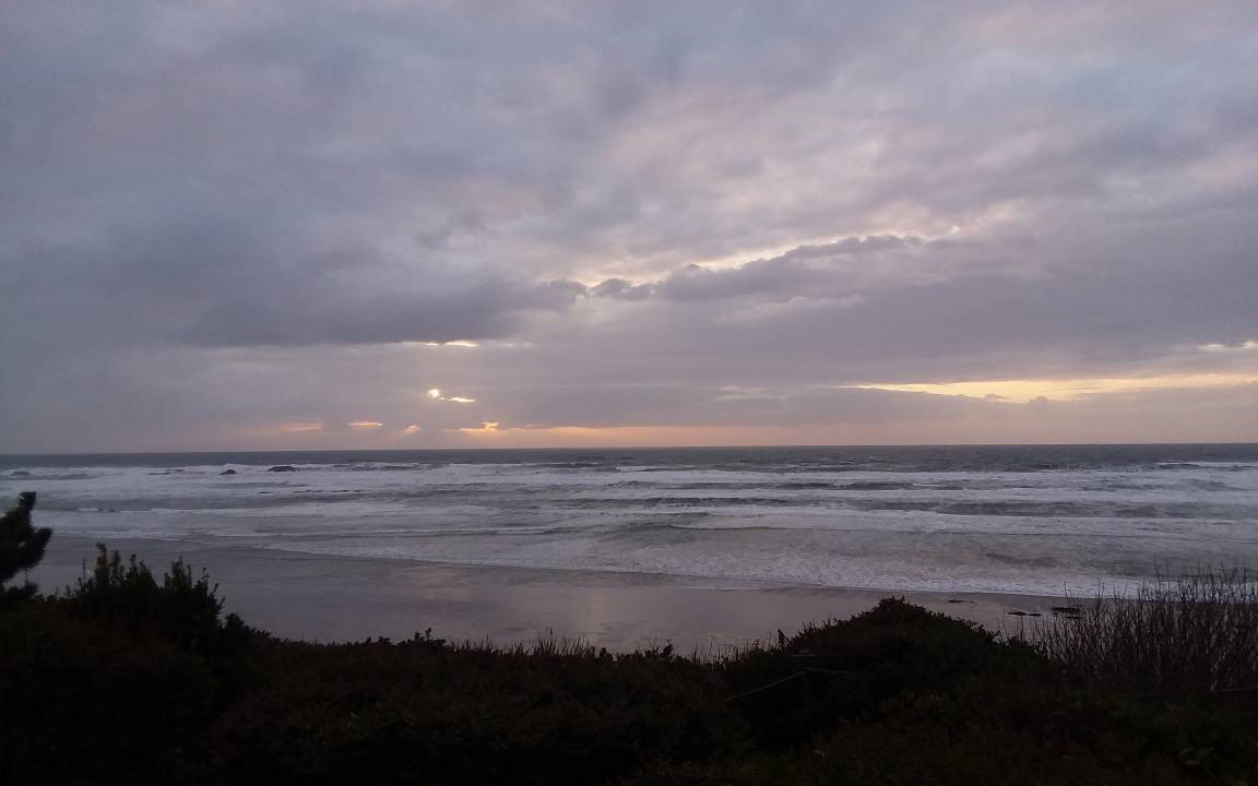 Photo of Others in Seal Rock