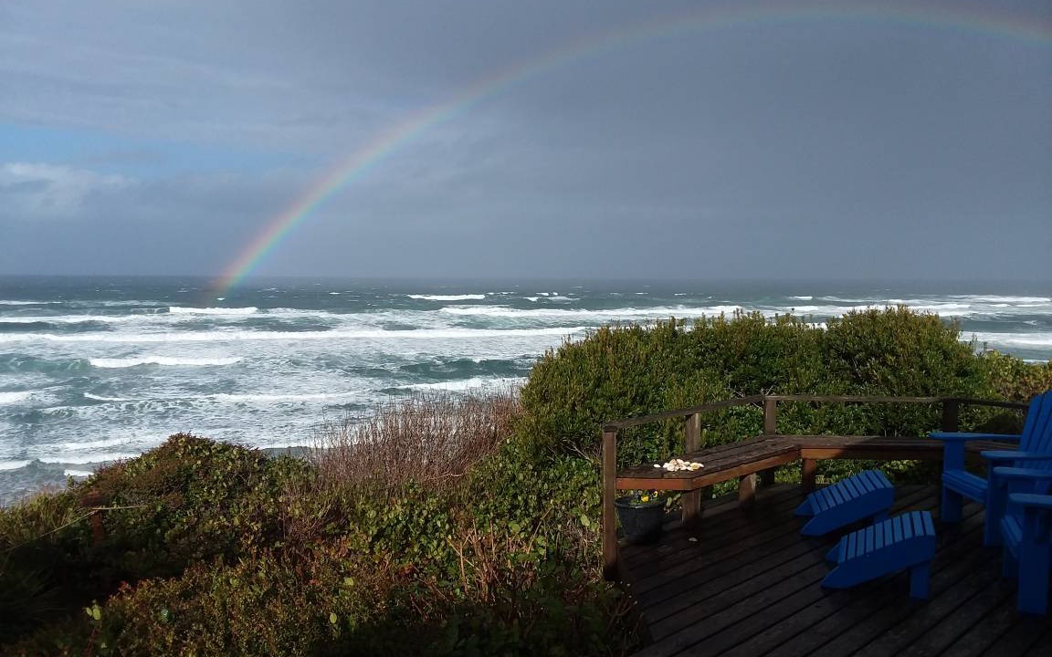 Photo of Others in Seal Rock