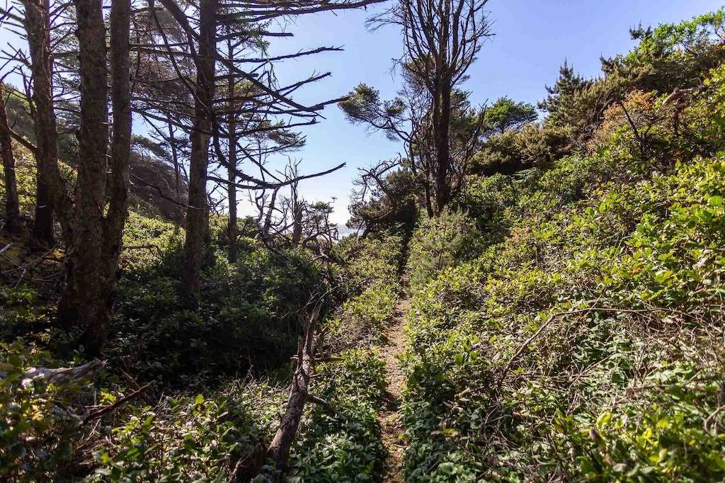 Photo of Outdoor in Seal Rock