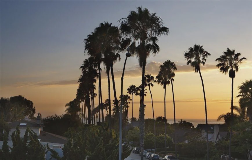 Photo of Others in Beach Barber Tract