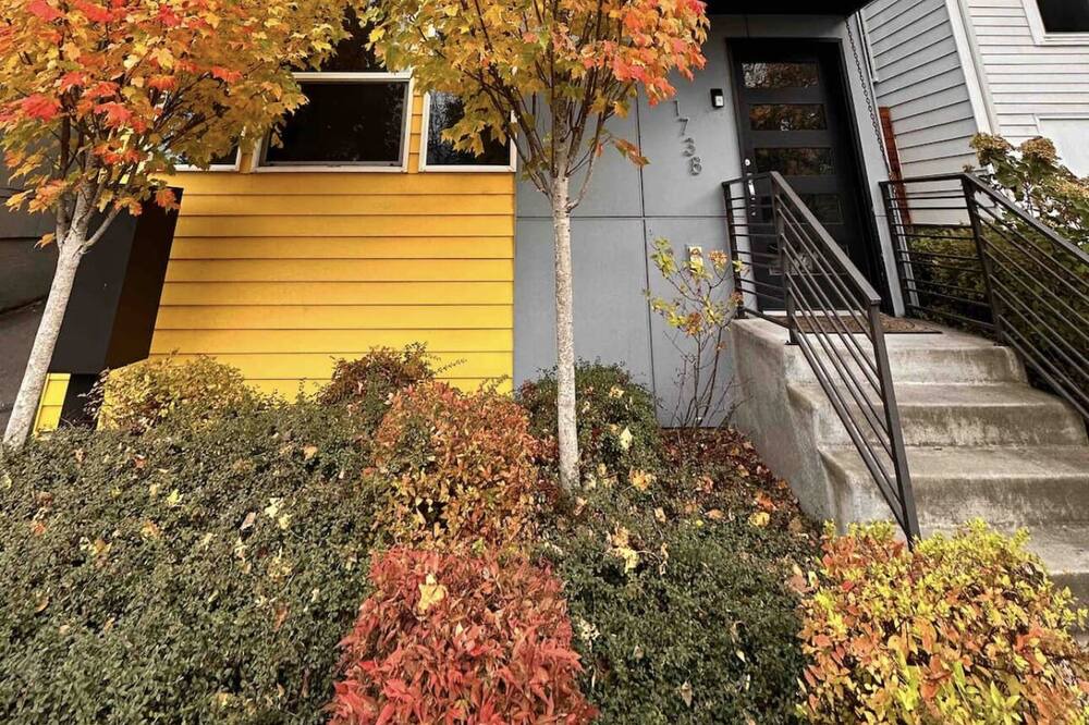 Photo of Outdoor in Mount Baker