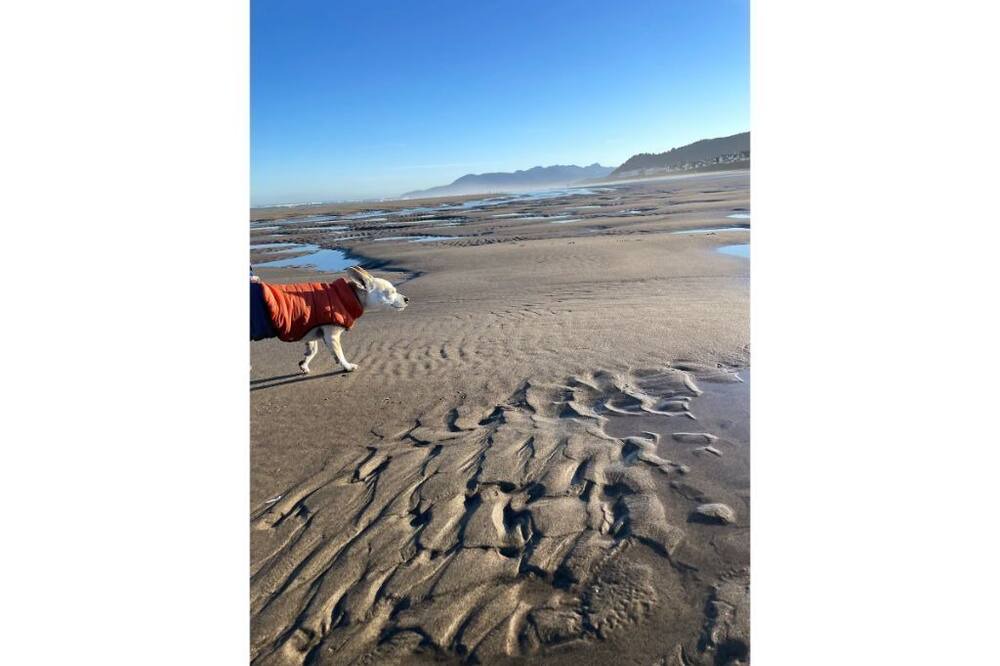 Photo of Others in Rockaway Beach