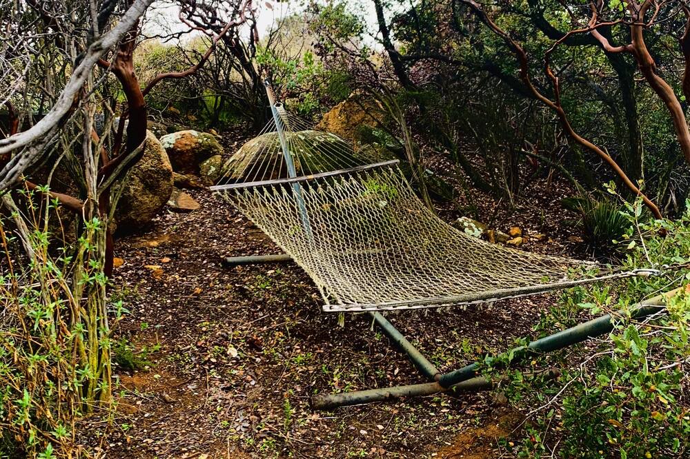 Photo of Outdoor in Alpine