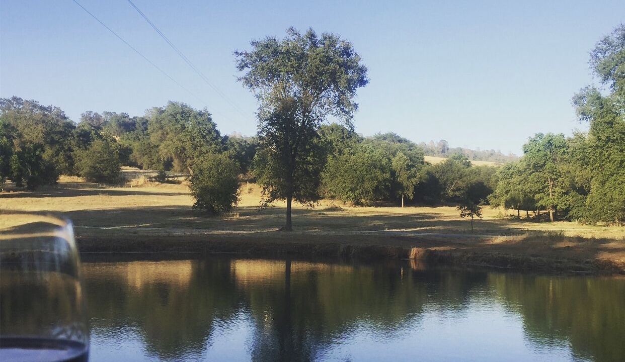 Photo of Outdoor in Cedar Ridge