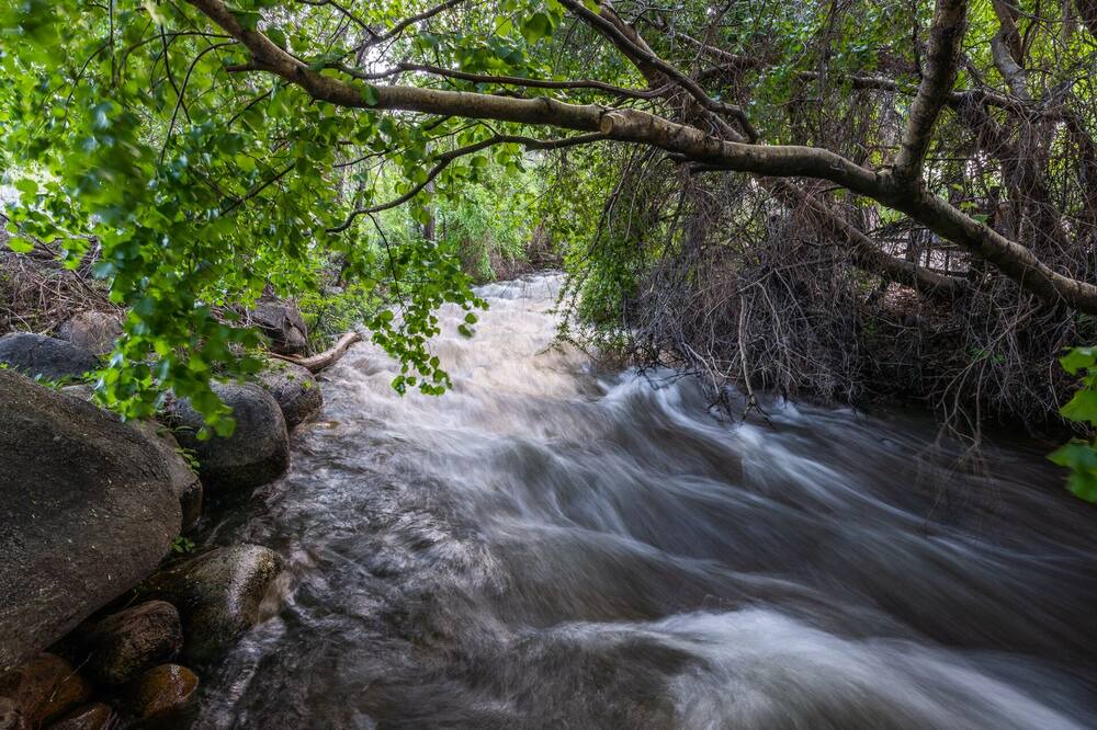 Photo of Outdoor in West Bishop